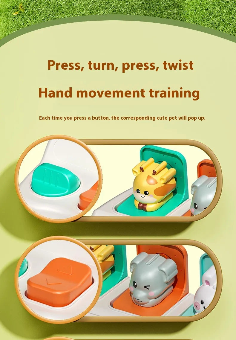 Qペット収納ボックス カラーランダム表記の参考画像 白背景