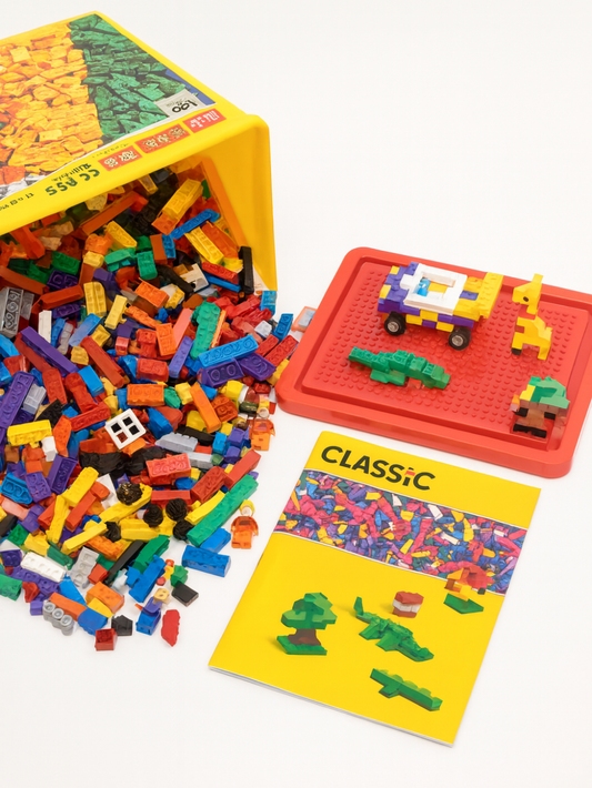 カラフルなビルディングブロックと完成モデルが一緒に並んだレインボーブロック1000ピースセットの全体写真
