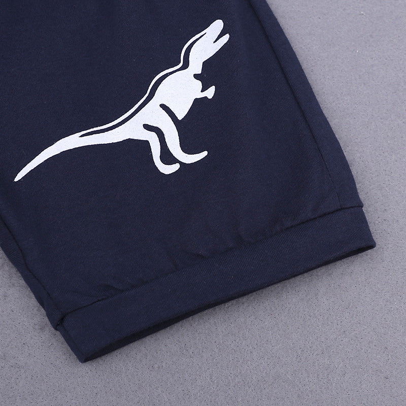 元気に走れる夏コーデが即完成する 男の子半袖Tシャツ＆ショートパンツセット ボーダー恐竜柄 コットン 100~150cm