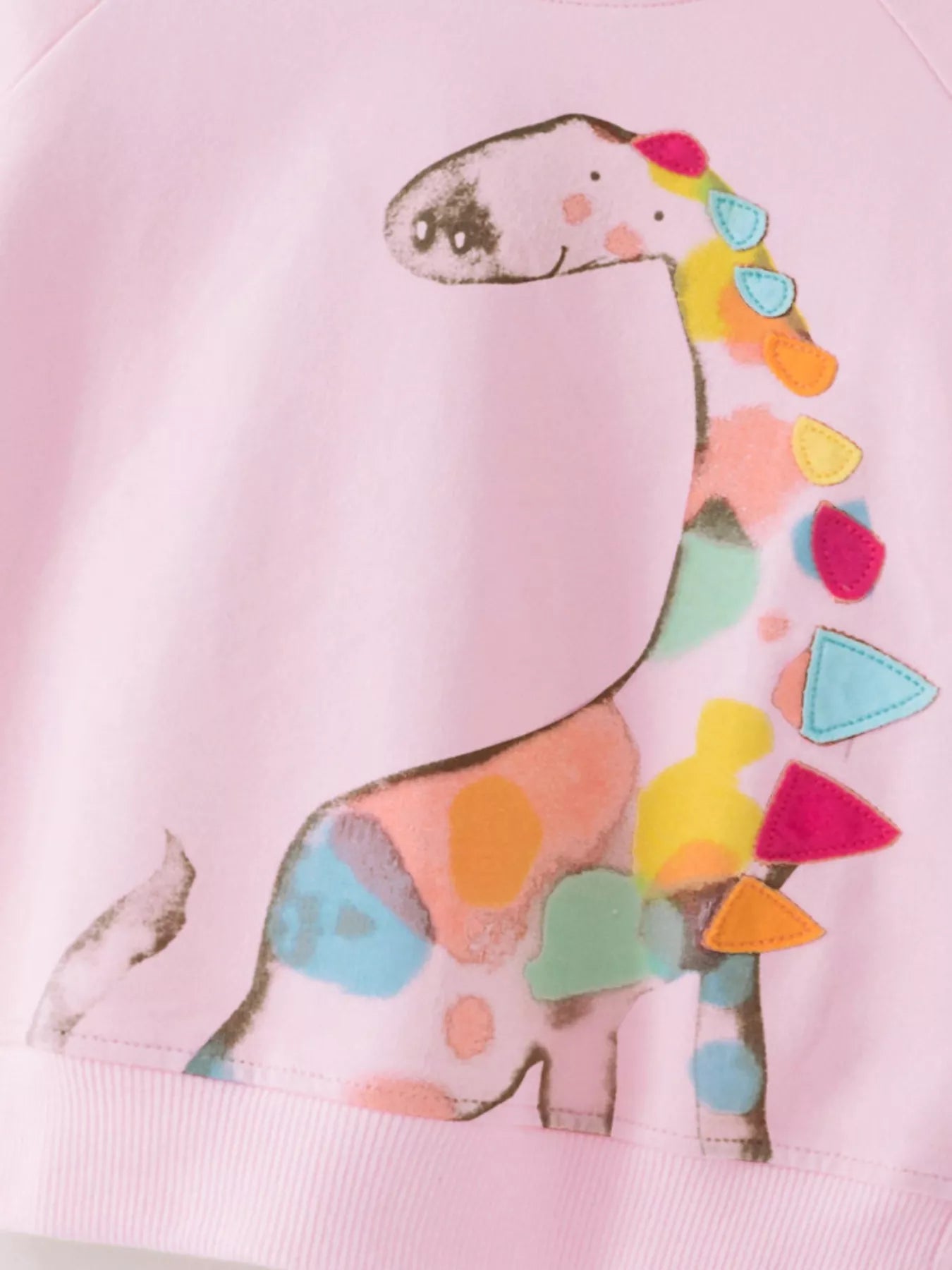 カラフルなプリントが目を引く子ども用アニマルトレーナーの近接画像
