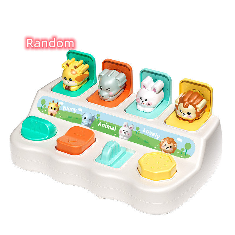 Qペット収納ボックス カラーランダム表記の参考画像 白背景
