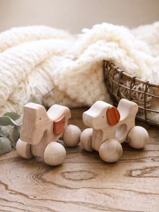 木のぬくもりが伝わるいぬとうまの木製ミニカー使用シーン
