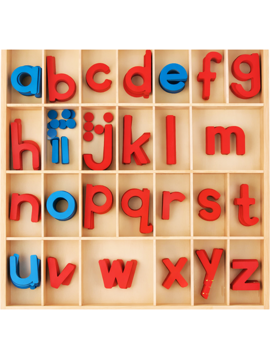 仕切り付き木箱に赤青の小文字アルファベット木製ピースを整列させた正面写真
