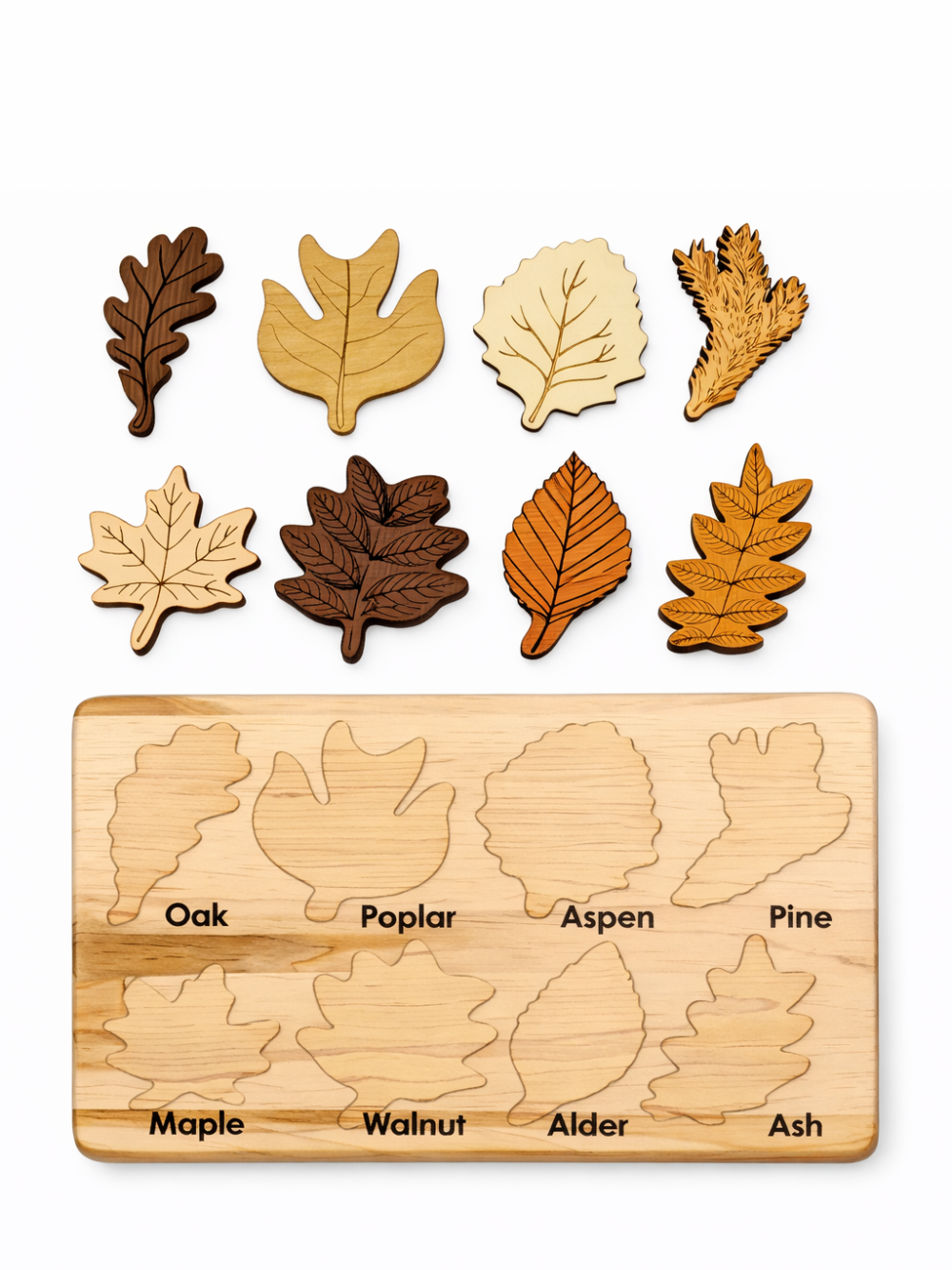 リーフピース一式とボードを並べたセット構成の俯瞰写真
