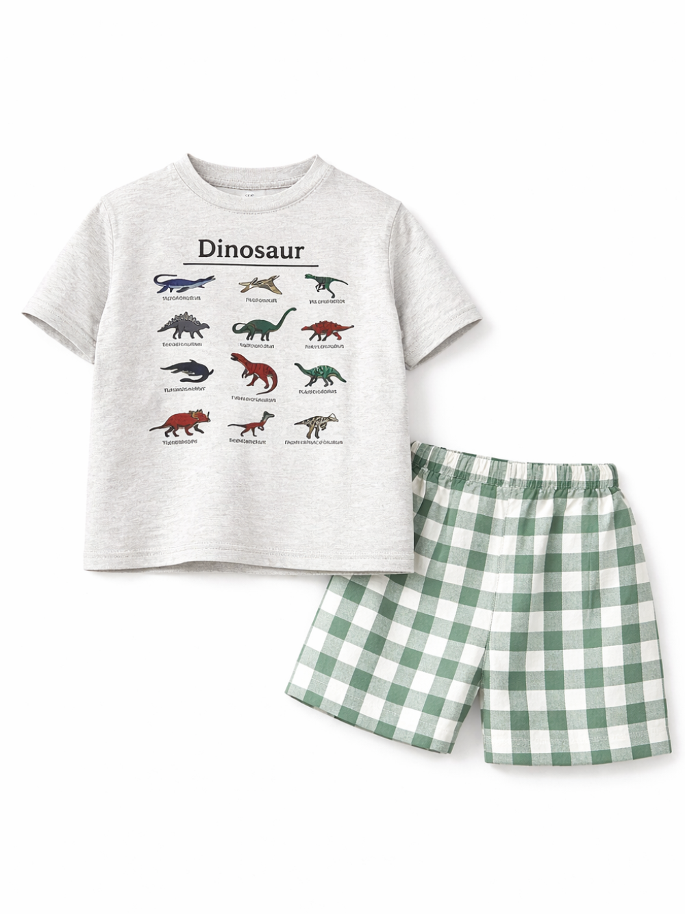 グレーの半袖Tシャツ（“Dinosaur”ロゴと恐竜イラスト）と、グリーン×白のギンガムチェック柄ショートパンツの子ども用上下セットを、純白の背景で平置き撮影した商品画像

