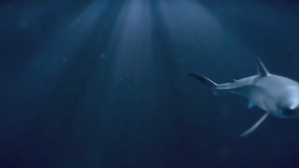 水中風演出のリモコンシャーク 動作イメージ動画サムネイル
